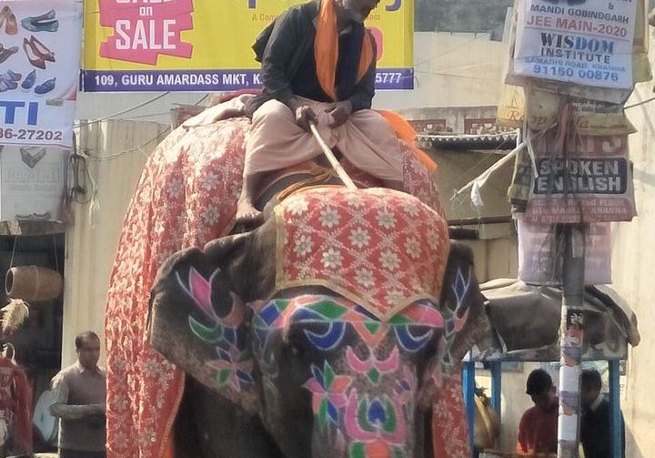 Haathi motif